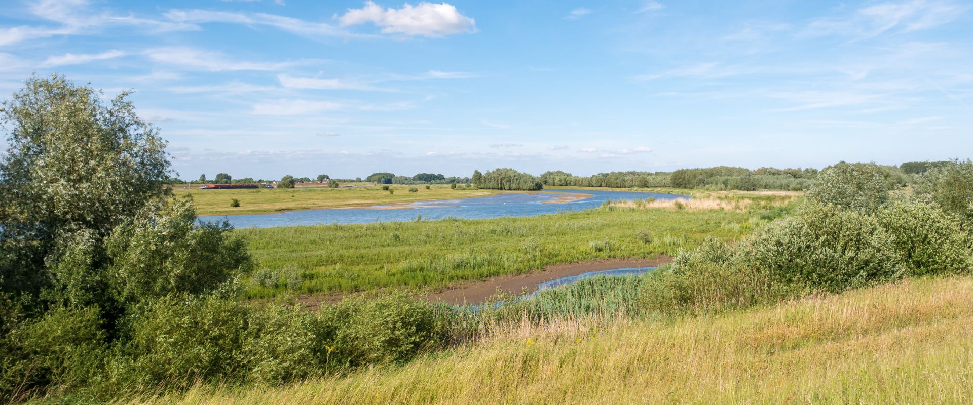 Nieuwaal