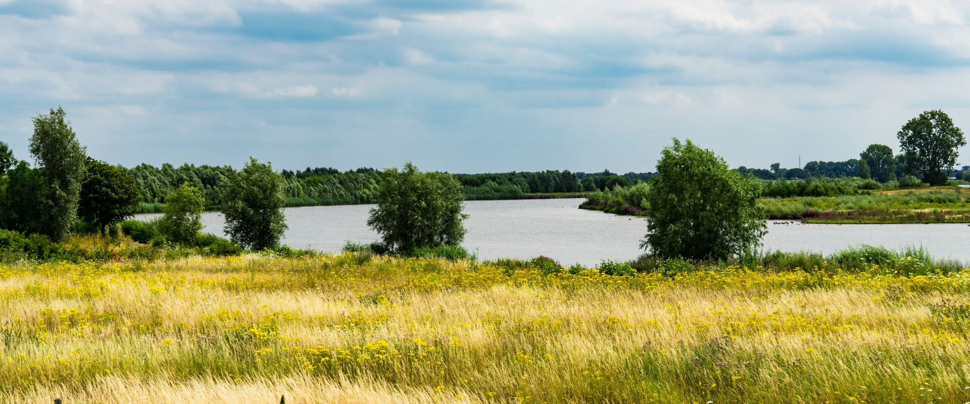 Niftrik