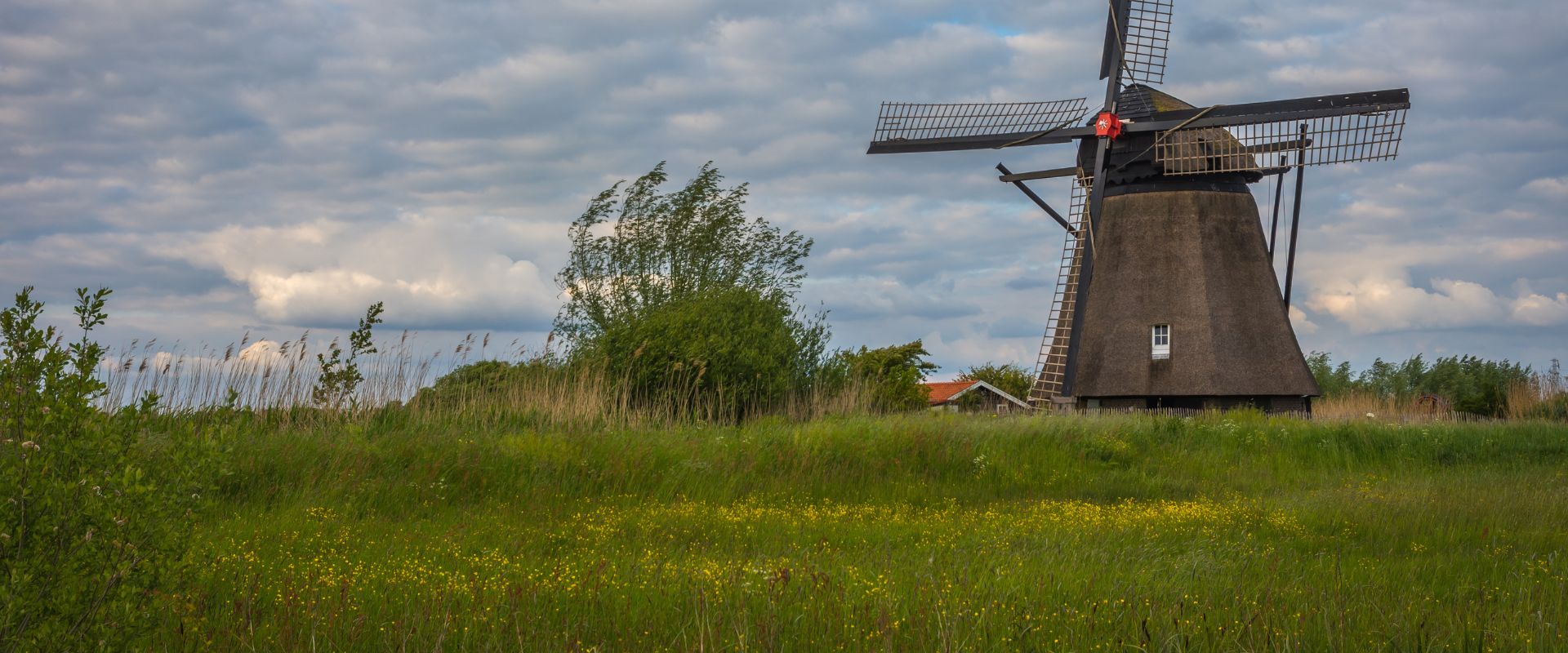 Ophemert