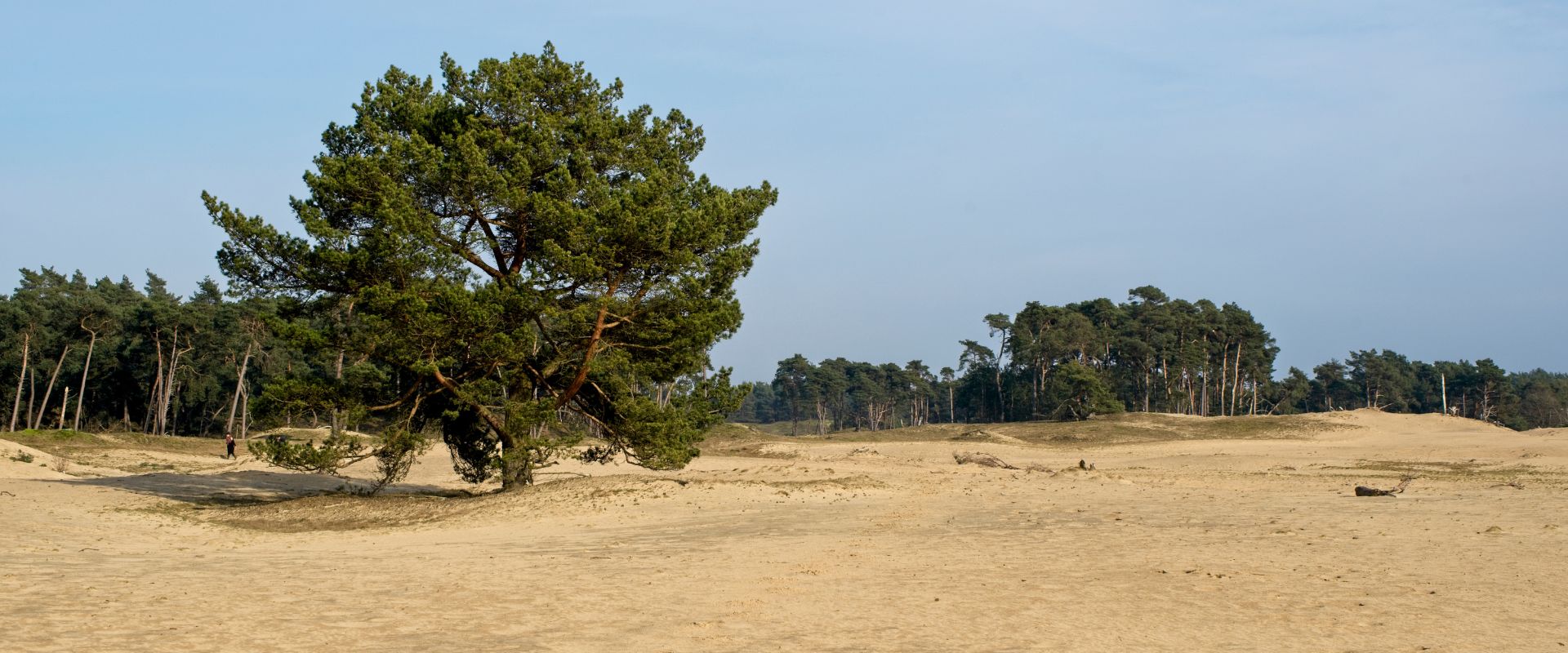 Wekerom