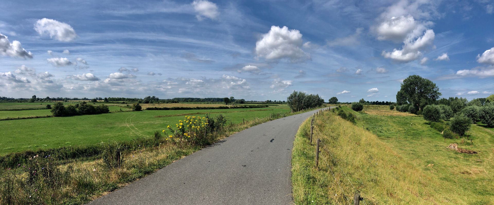 Zevenaar