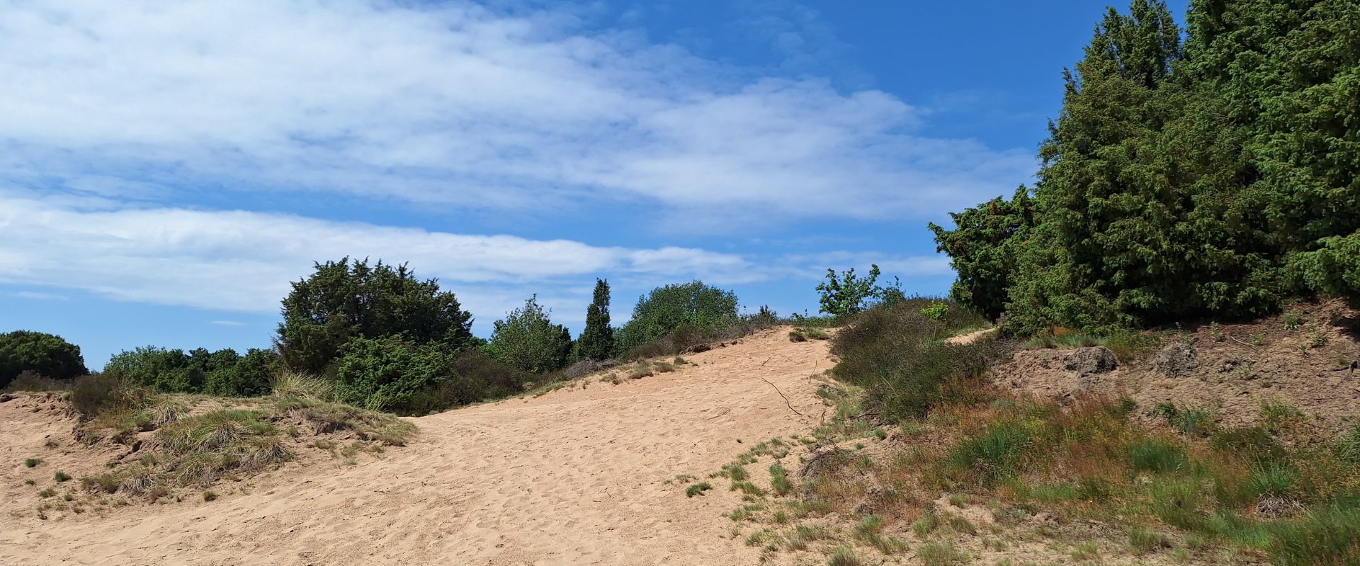 Aalden