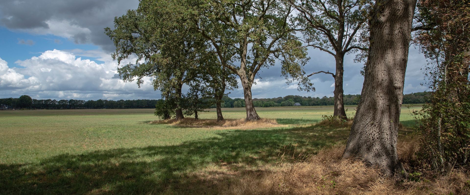 Dalen