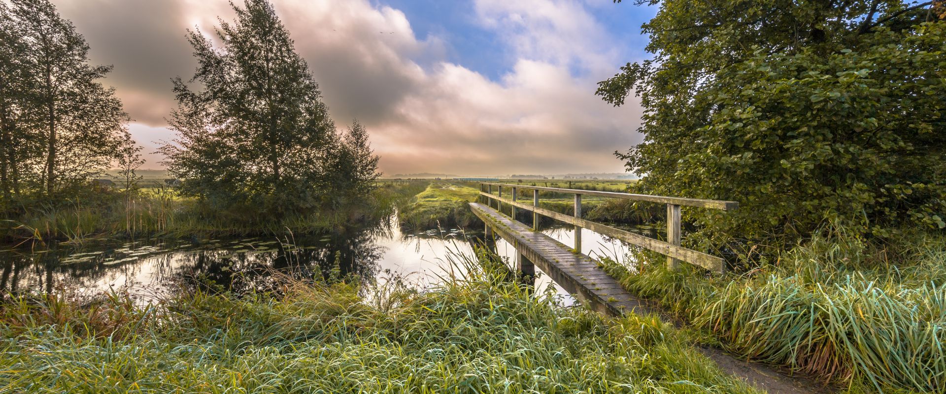 Eelde