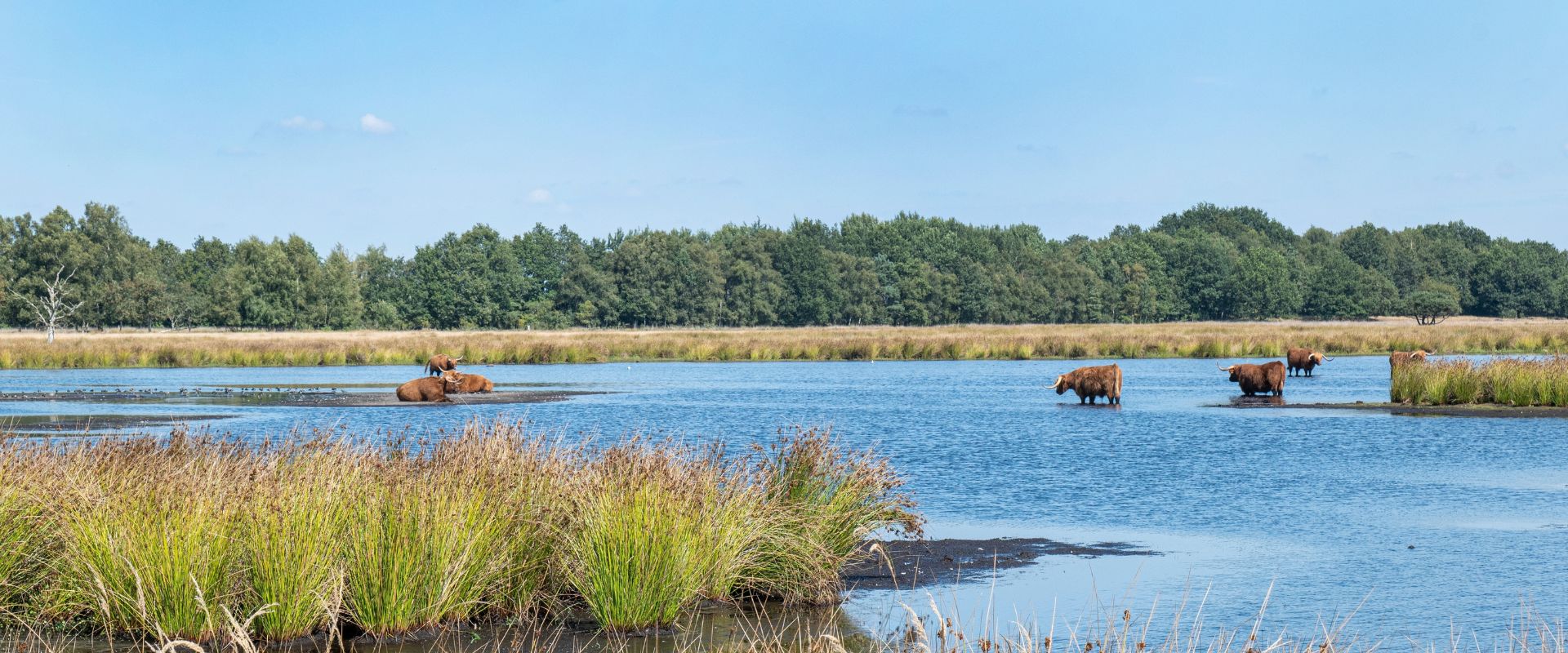 Hoogeveen