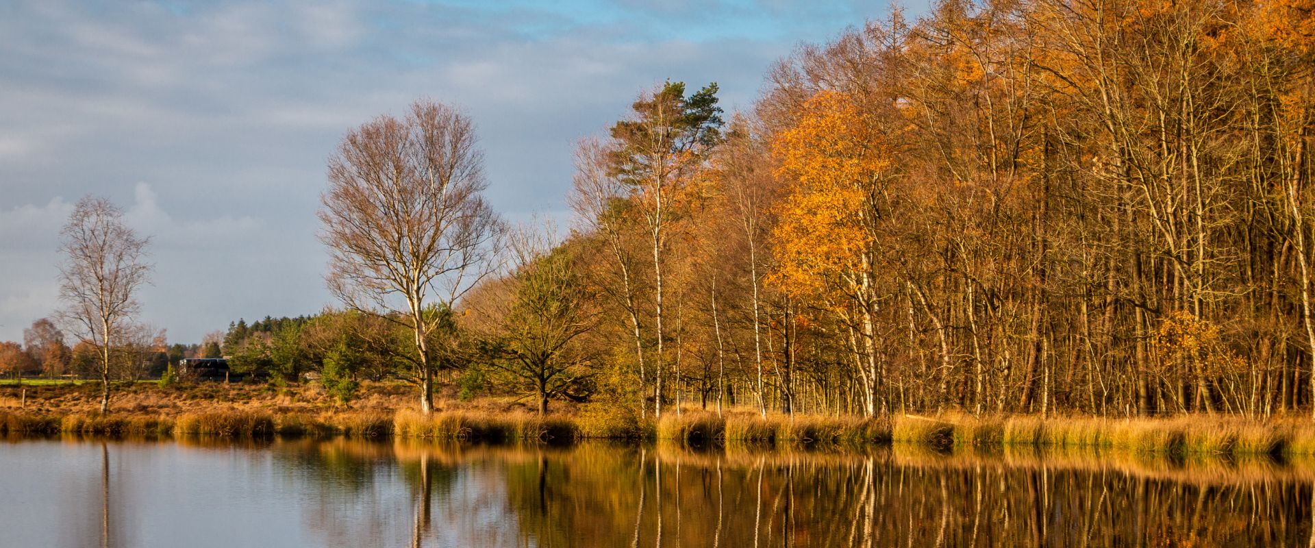 Steenbergen (Drenthe)