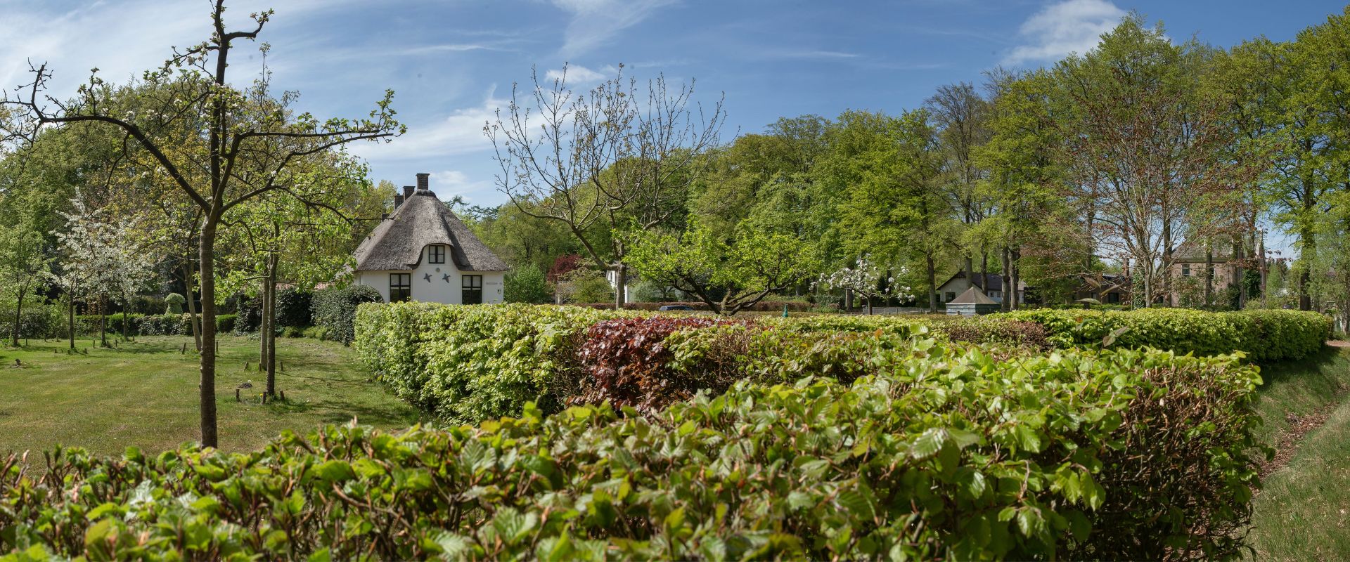Wilhelminaoord