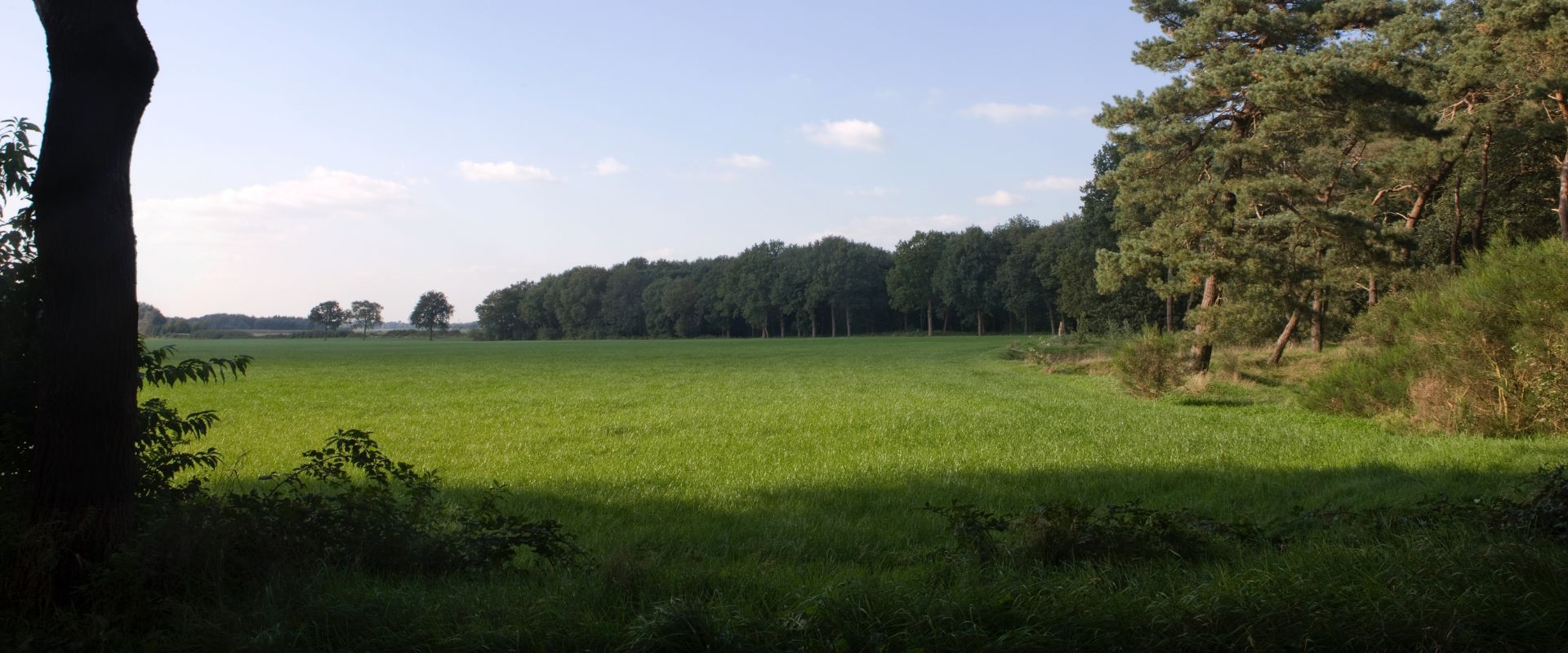 Zuidwolde