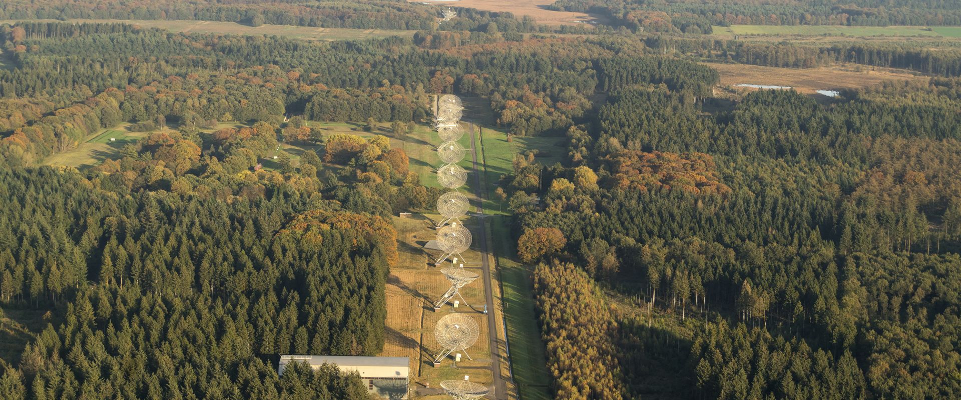 Zwiggelte