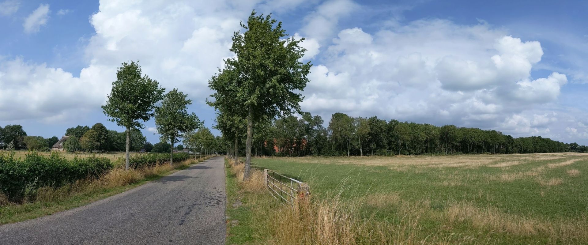 Bakhuizen