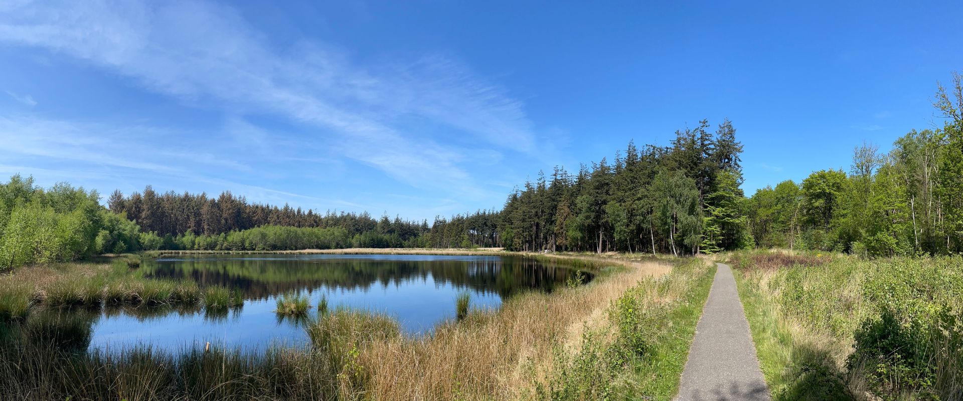 Bakkeveen