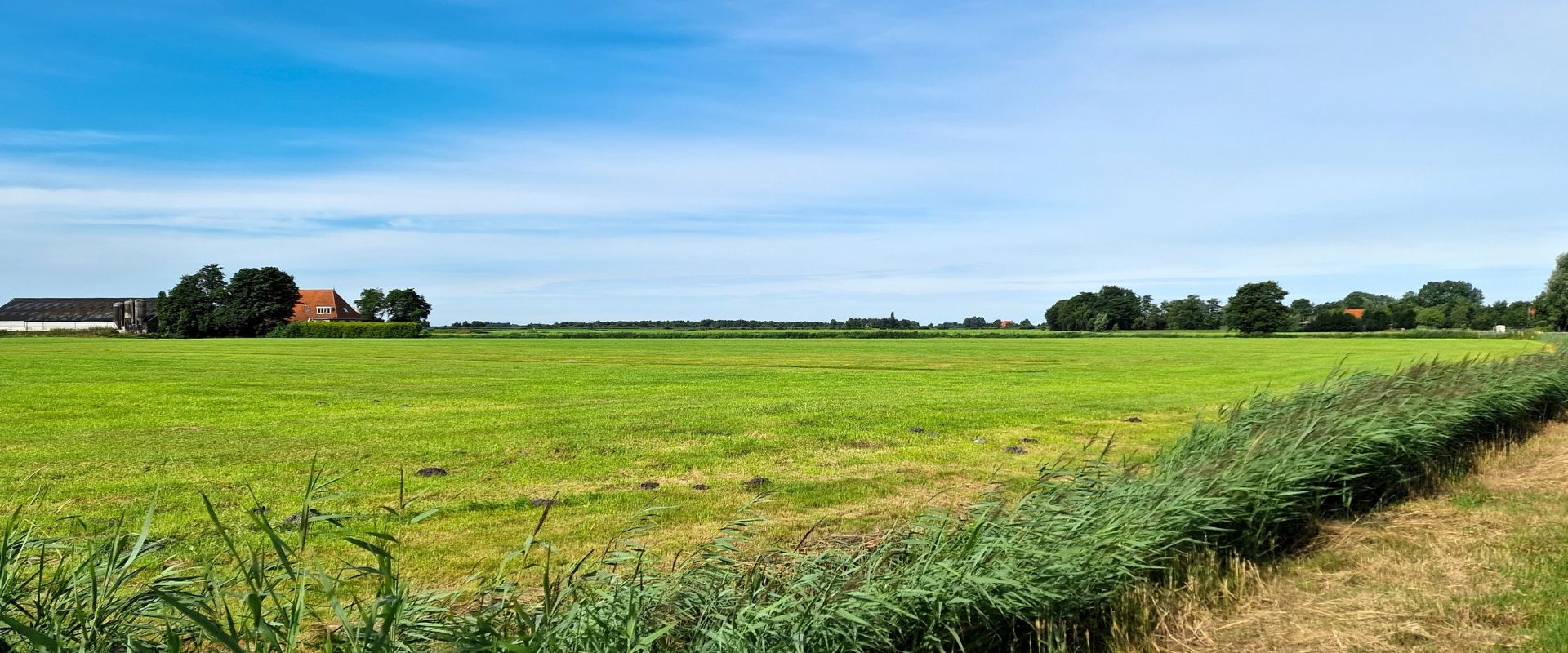 De Veenhoop