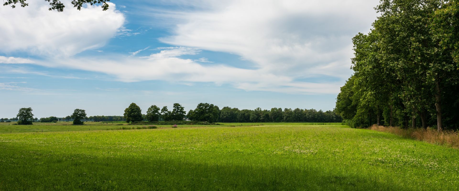 Elsloo (Friesland)
