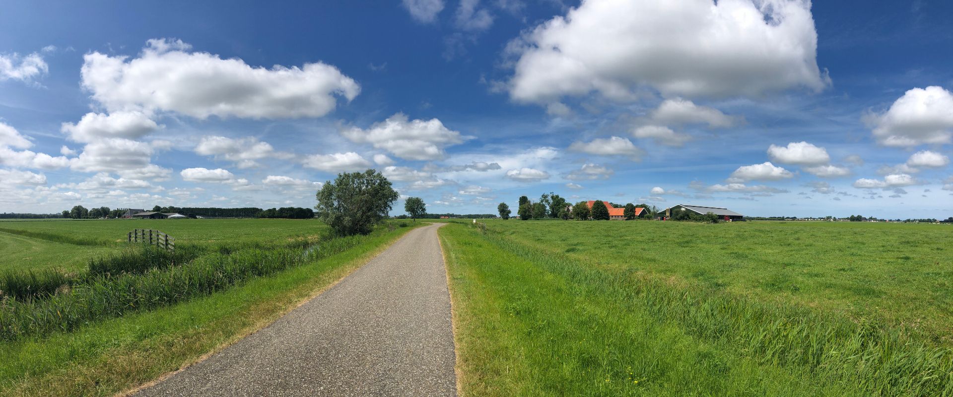 Jelsum