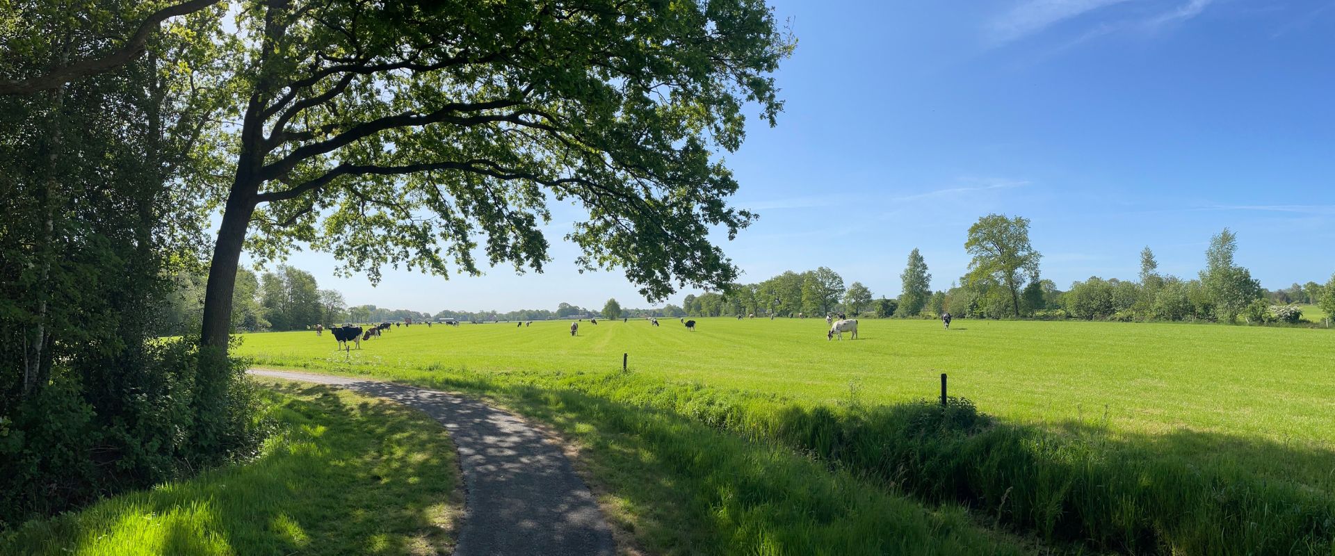 Katlijk (Friesland)