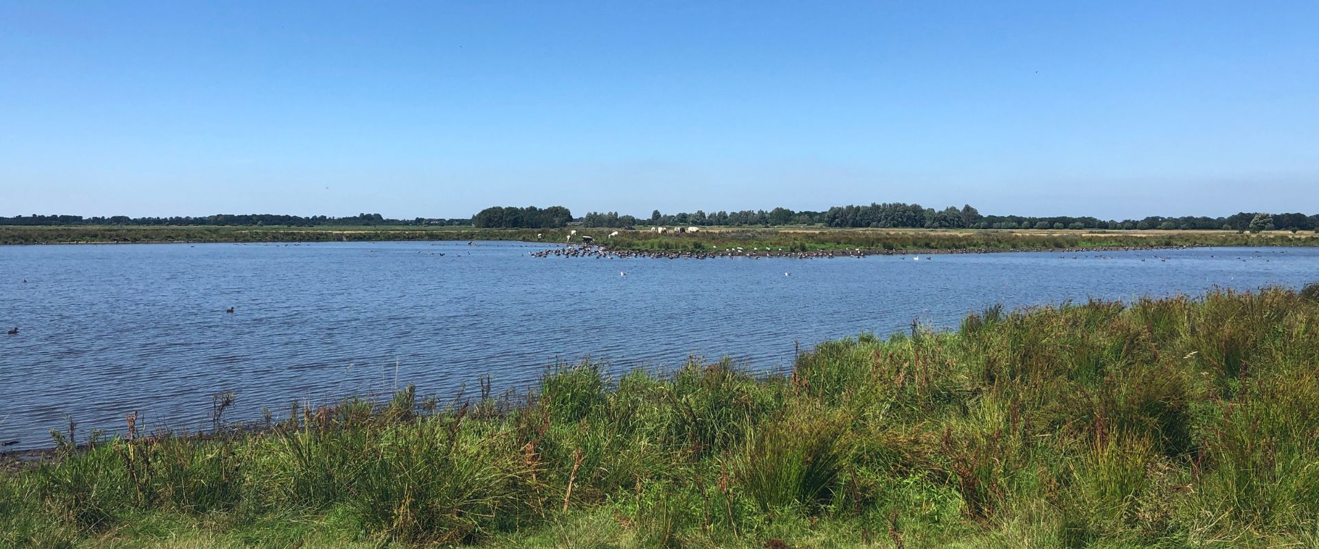 Kollumerzwaag