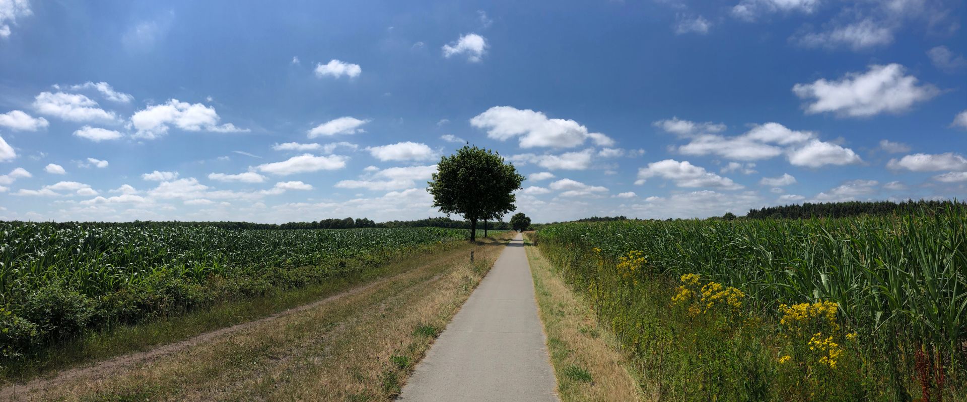Langedijke