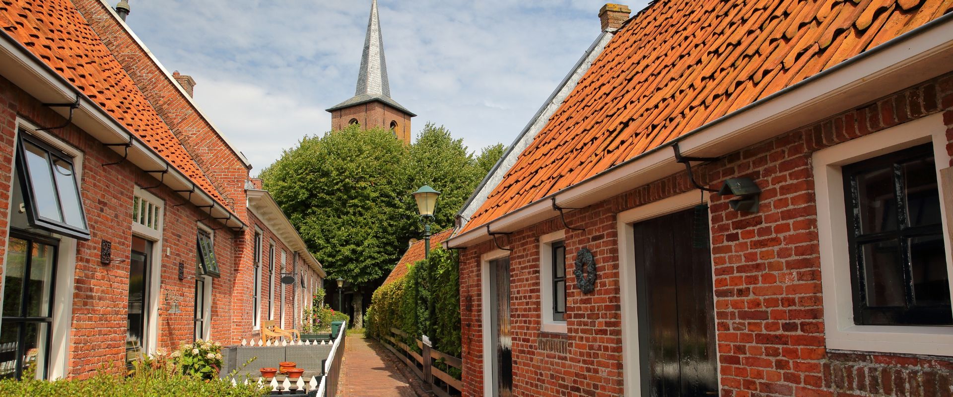 Metslawier