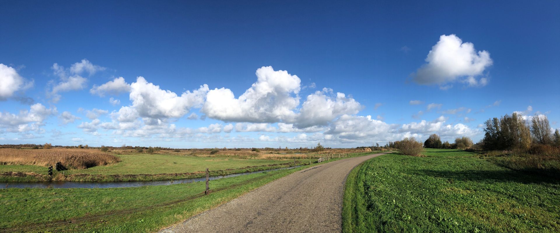 Nijetrijne
