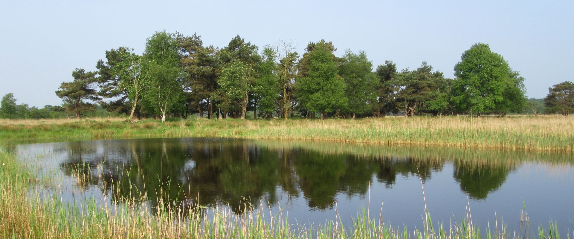 Oldeberkoop