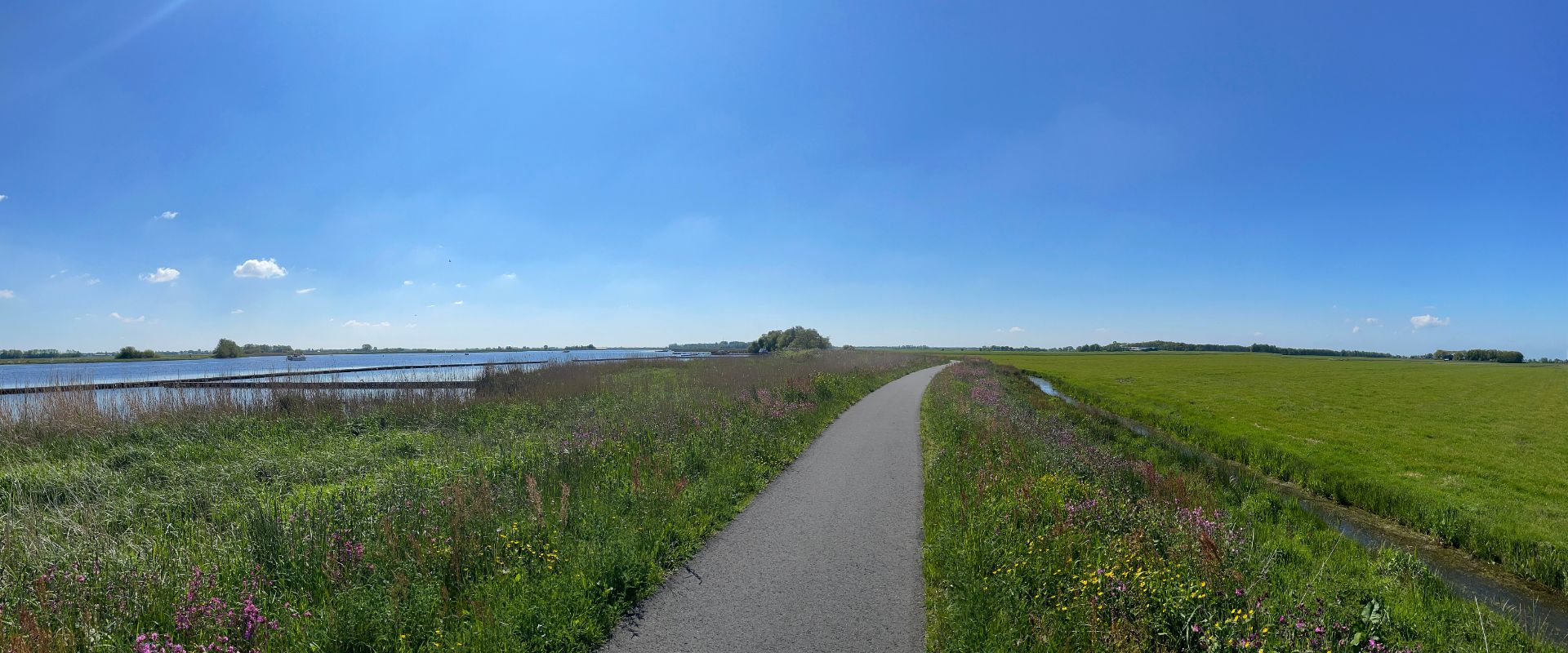 Oldetrijne