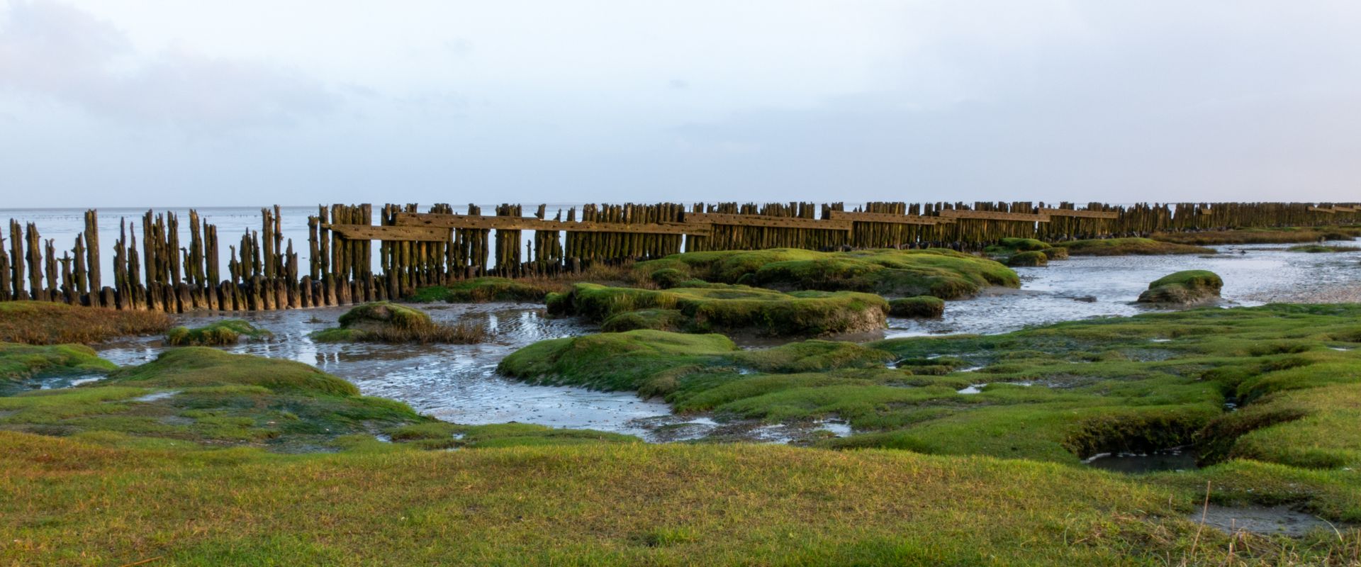 Paezens Moddergat