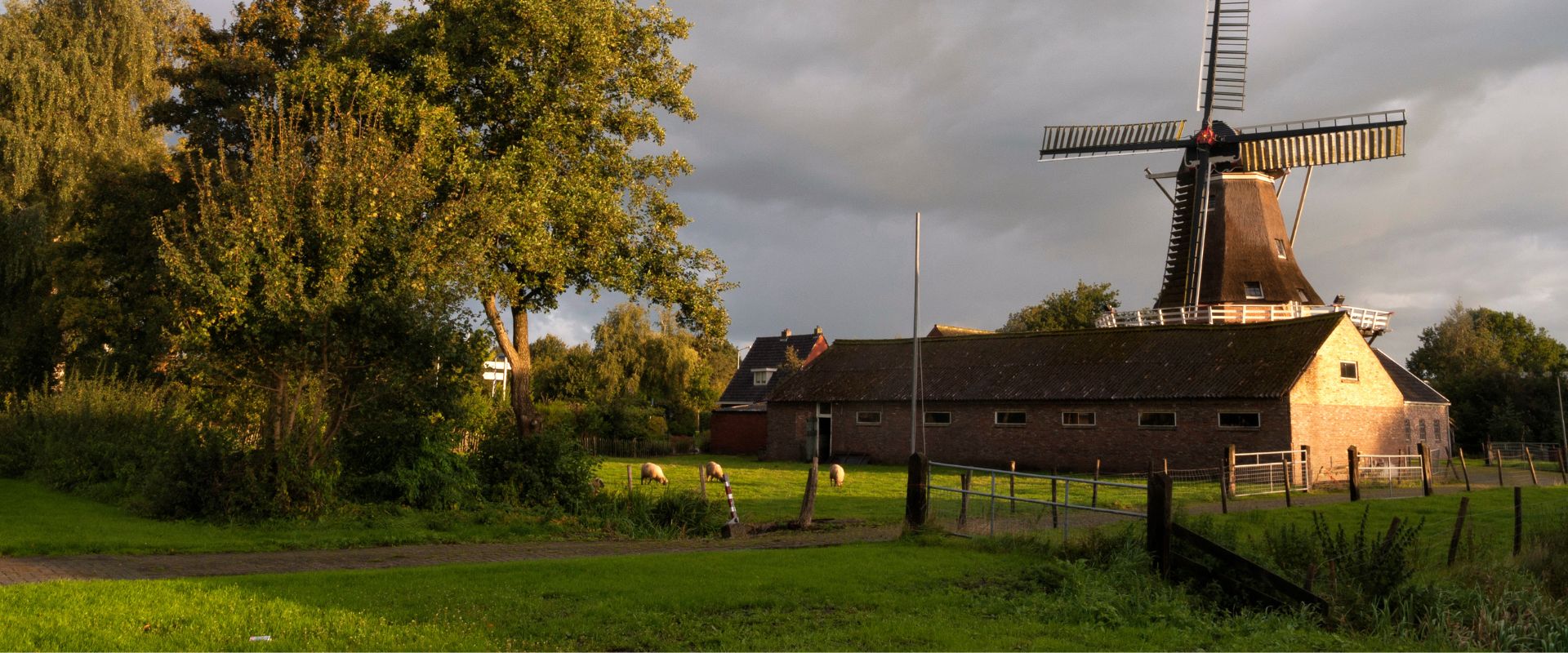 Surhuisterveen