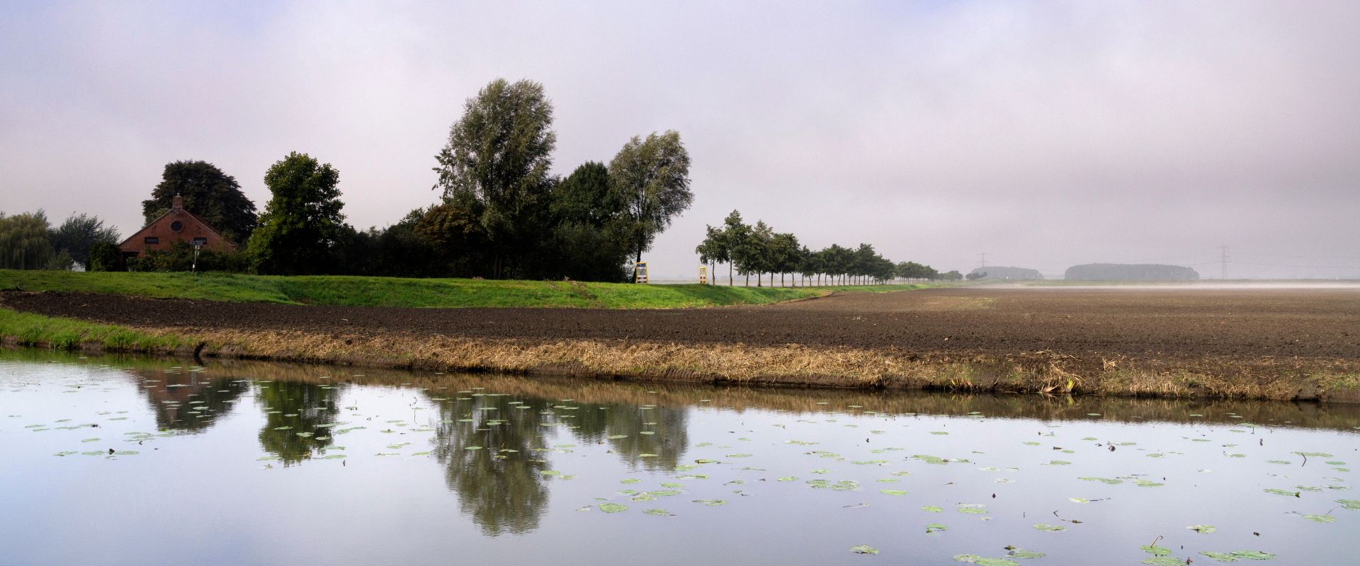 Bellingwolde
