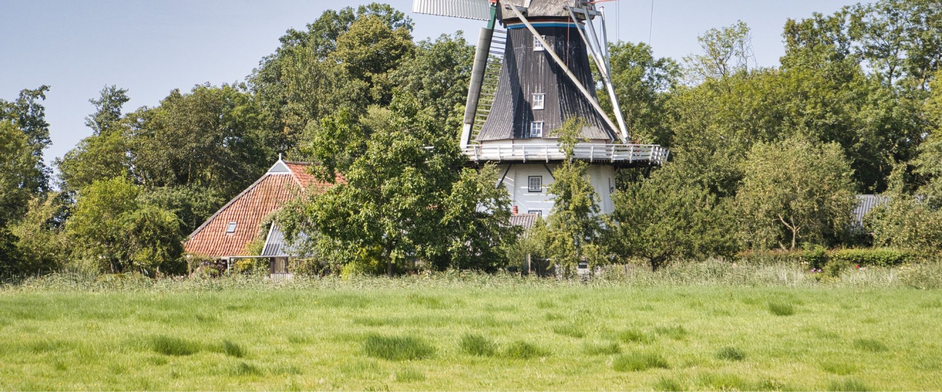 Feerwerd