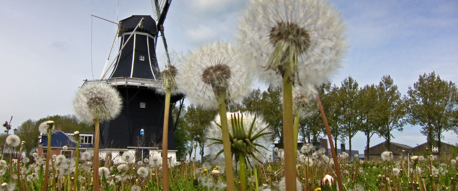 Grijpskerk