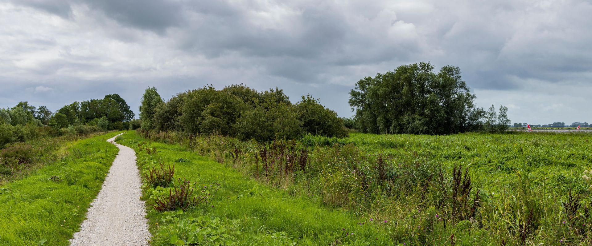 Overschild