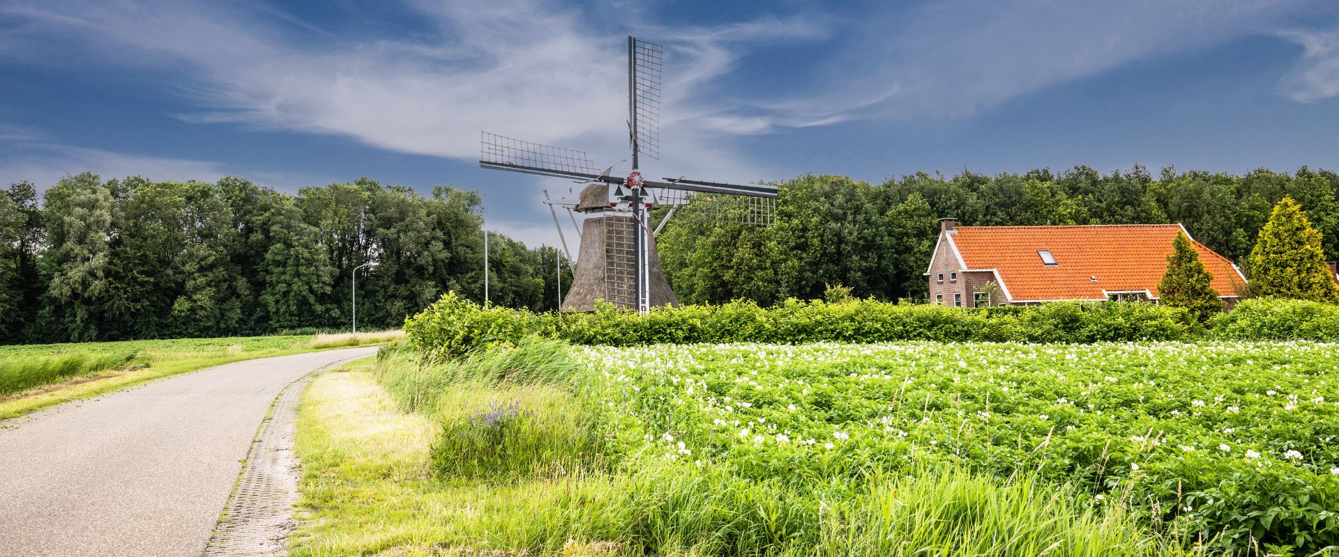 Schildwolde