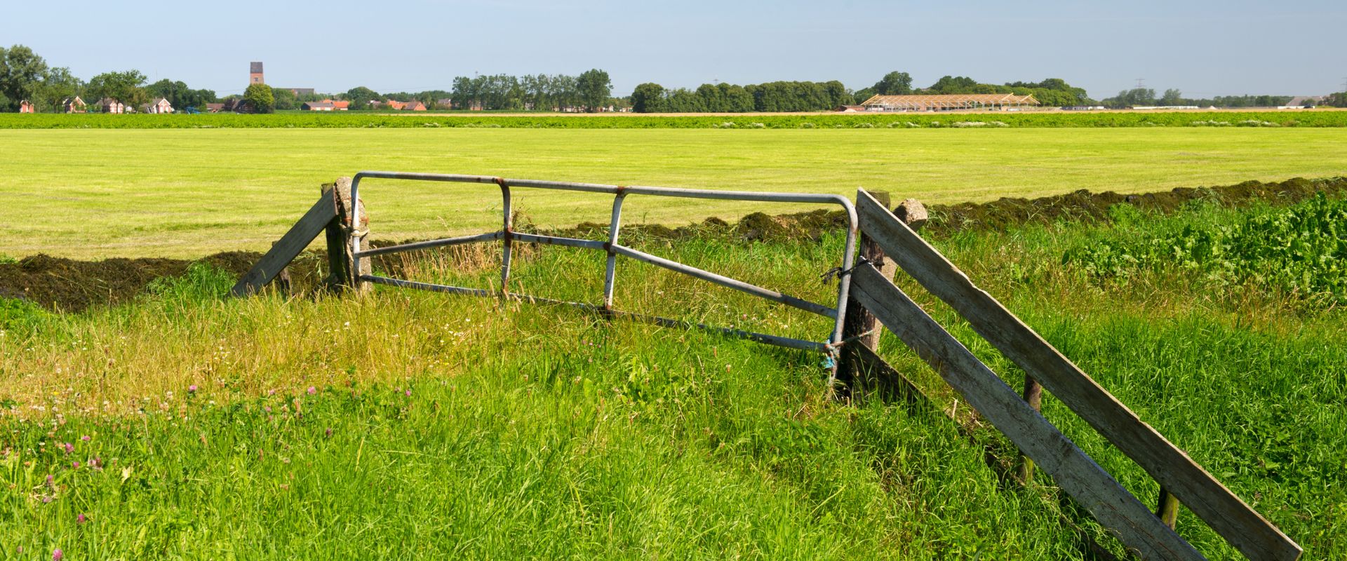 Stedum