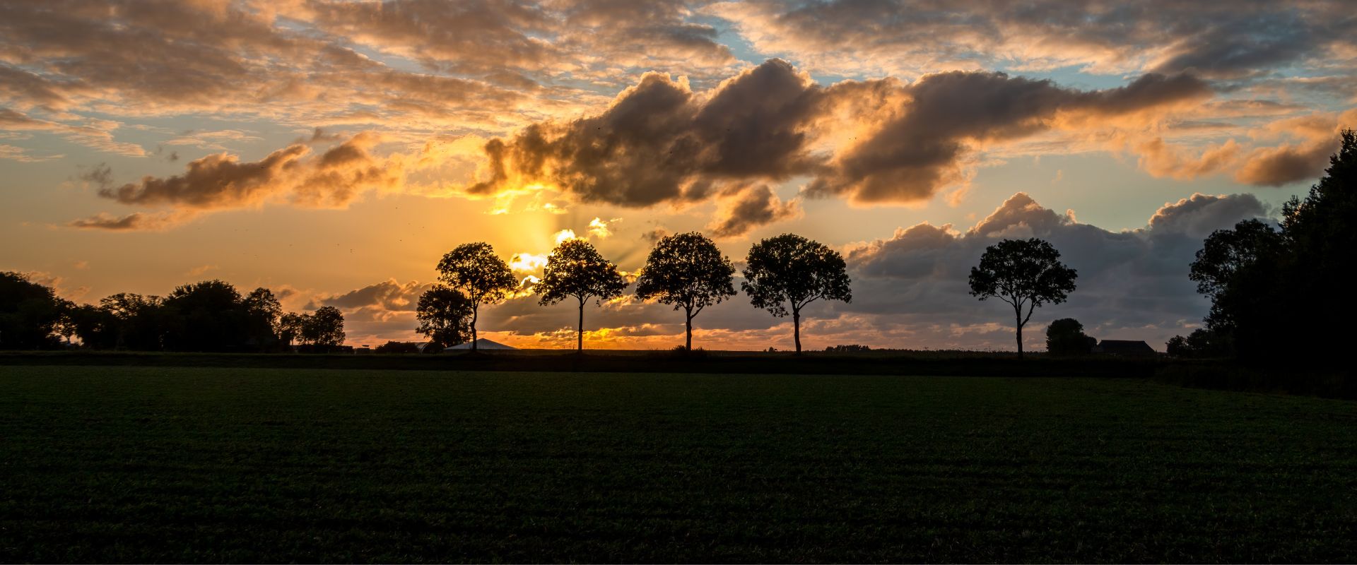 Veelerveen