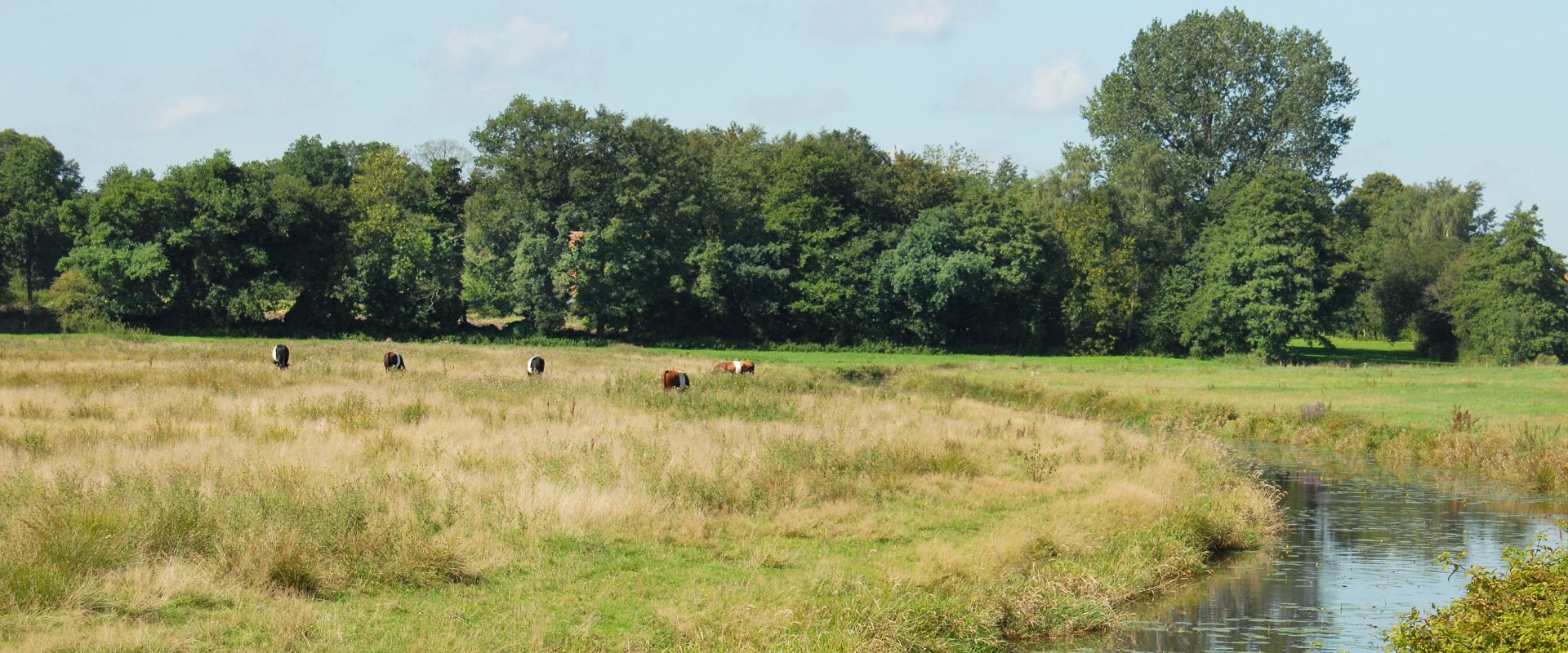 Vlagtwedde