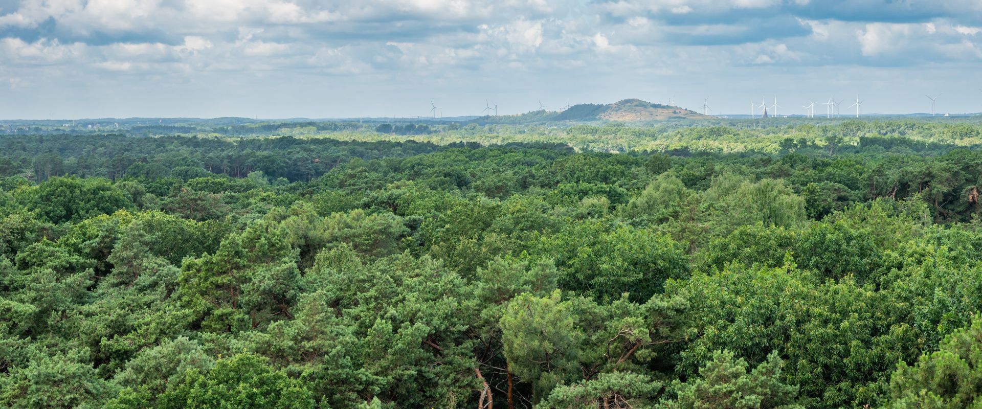 Beek (Limburg)
