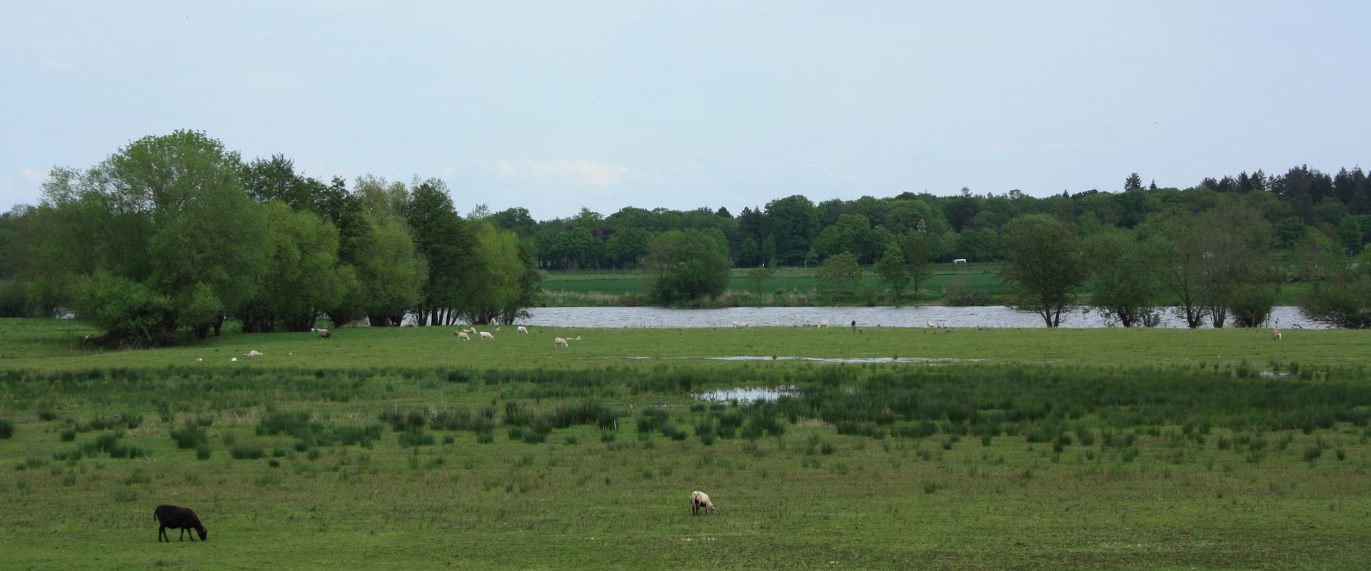 Broekhuizenvorst