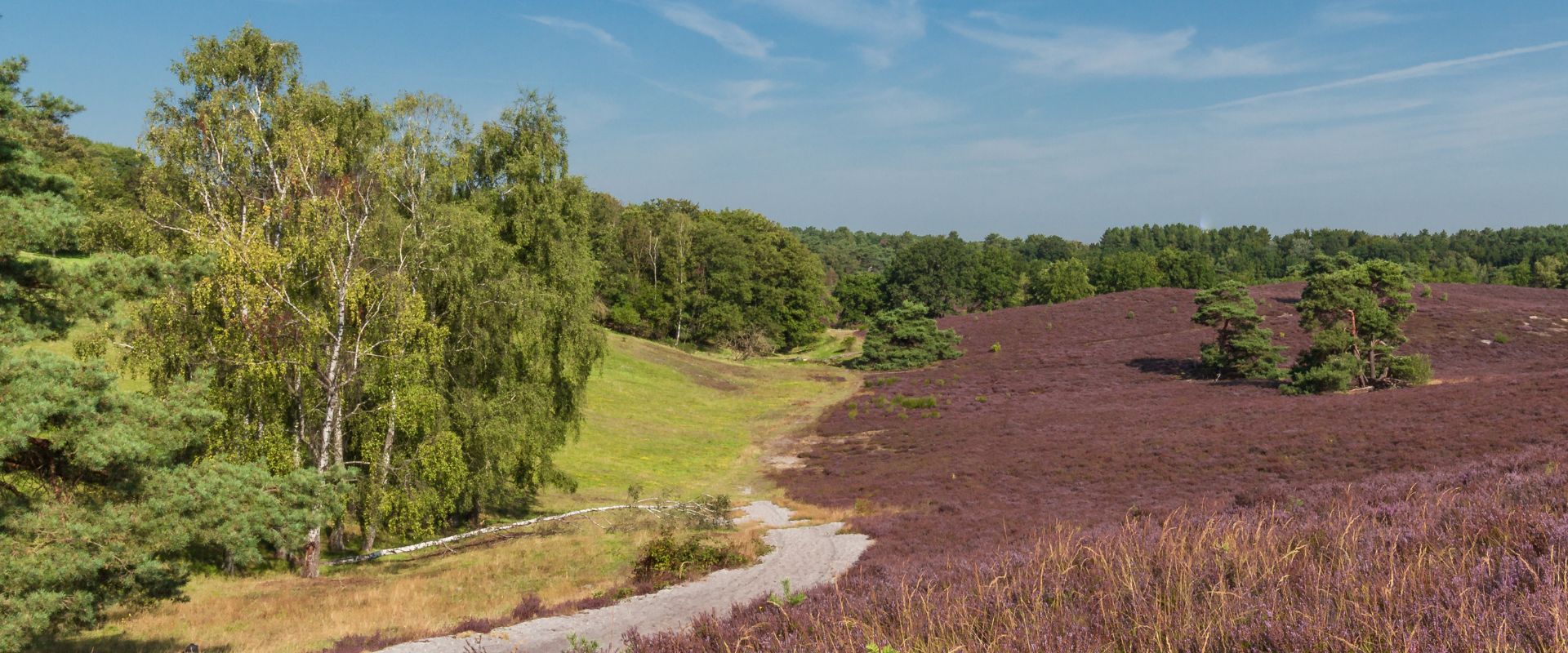 Brunssum