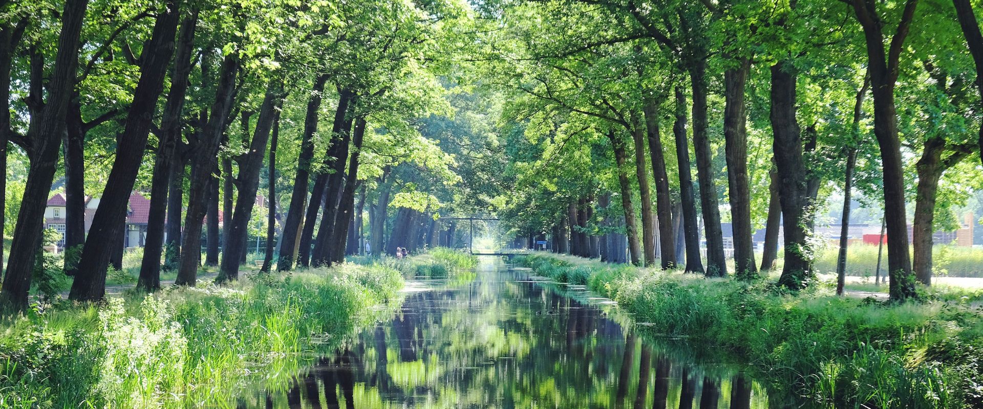 Griendtsveen