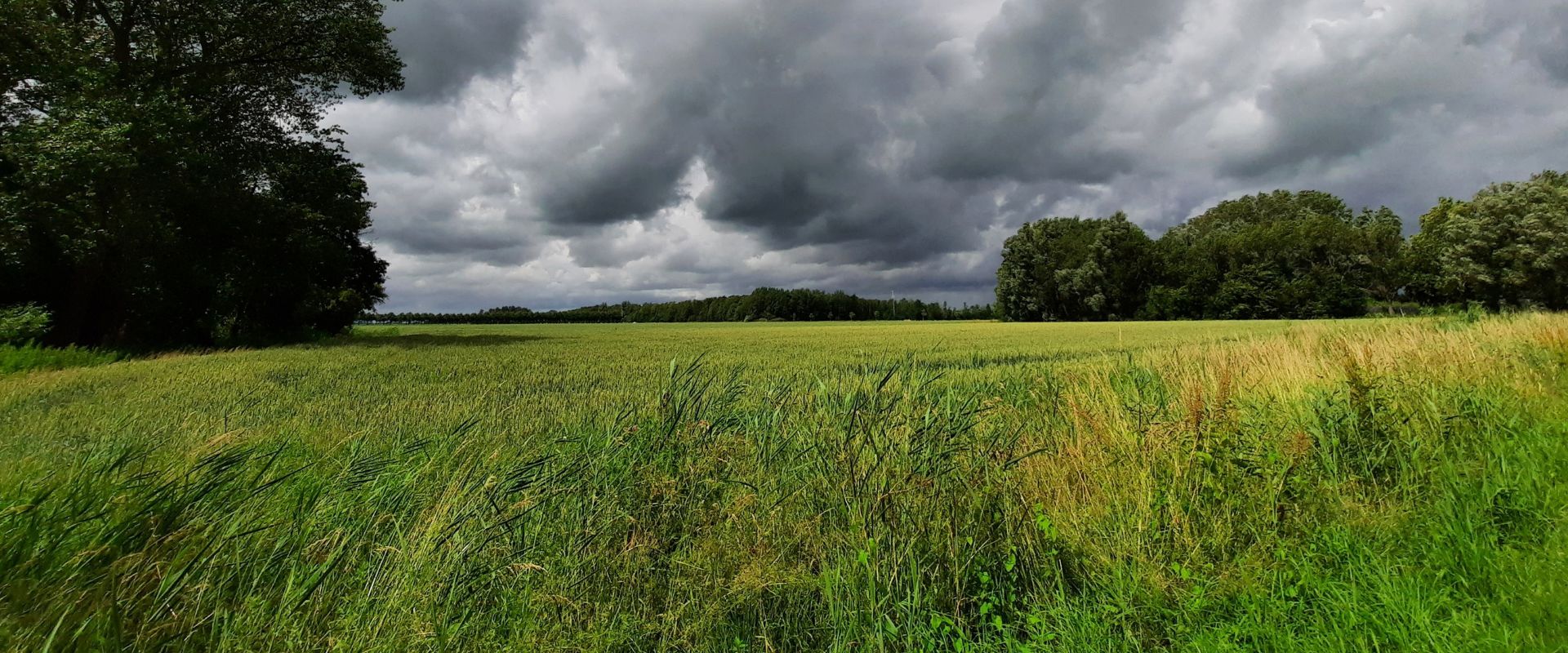 Wehe-den Hoorn