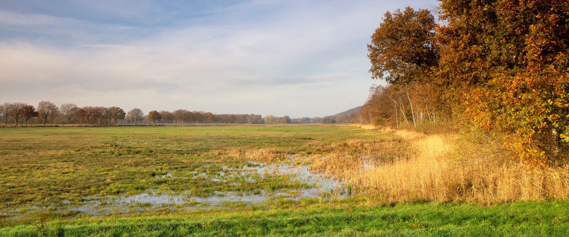 Milsbeek