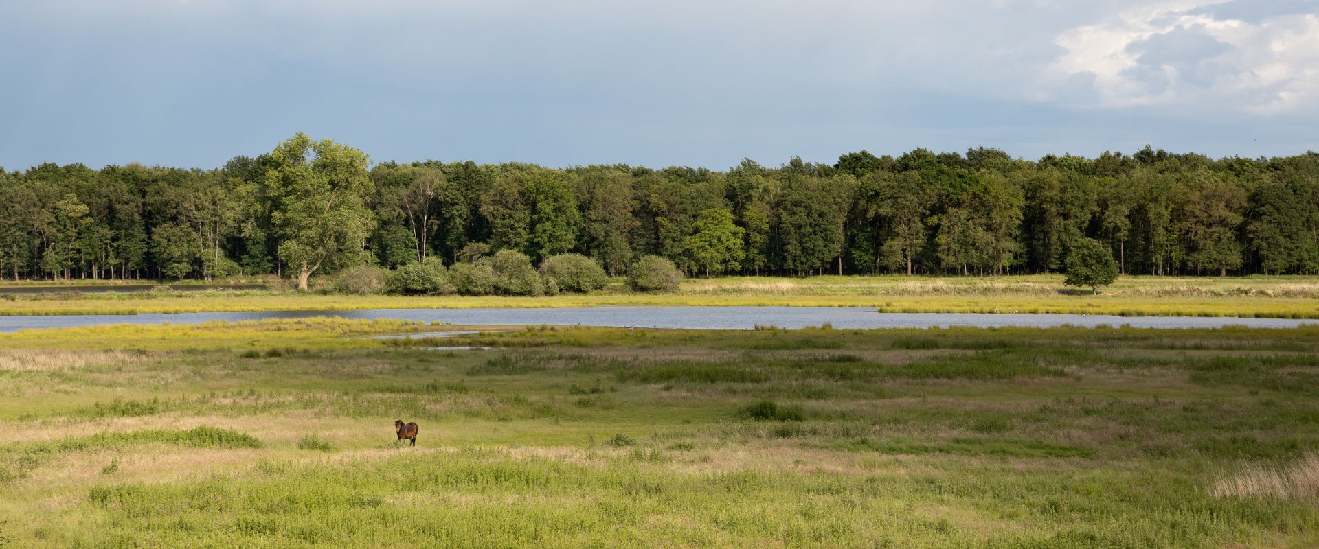Nederweert