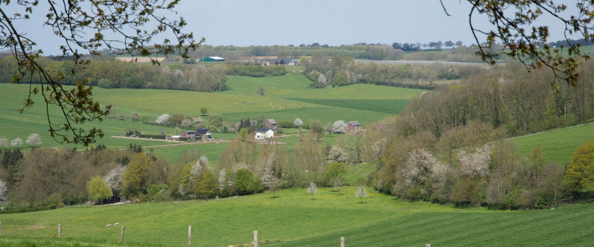Reijmerstok