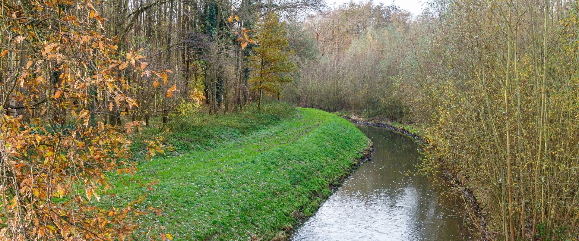 Schinnen