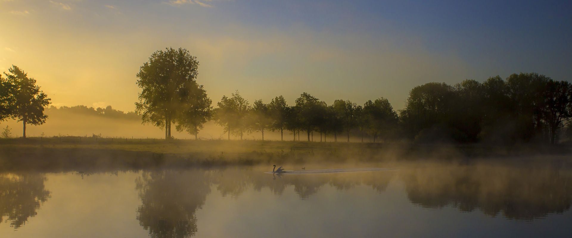 Venray