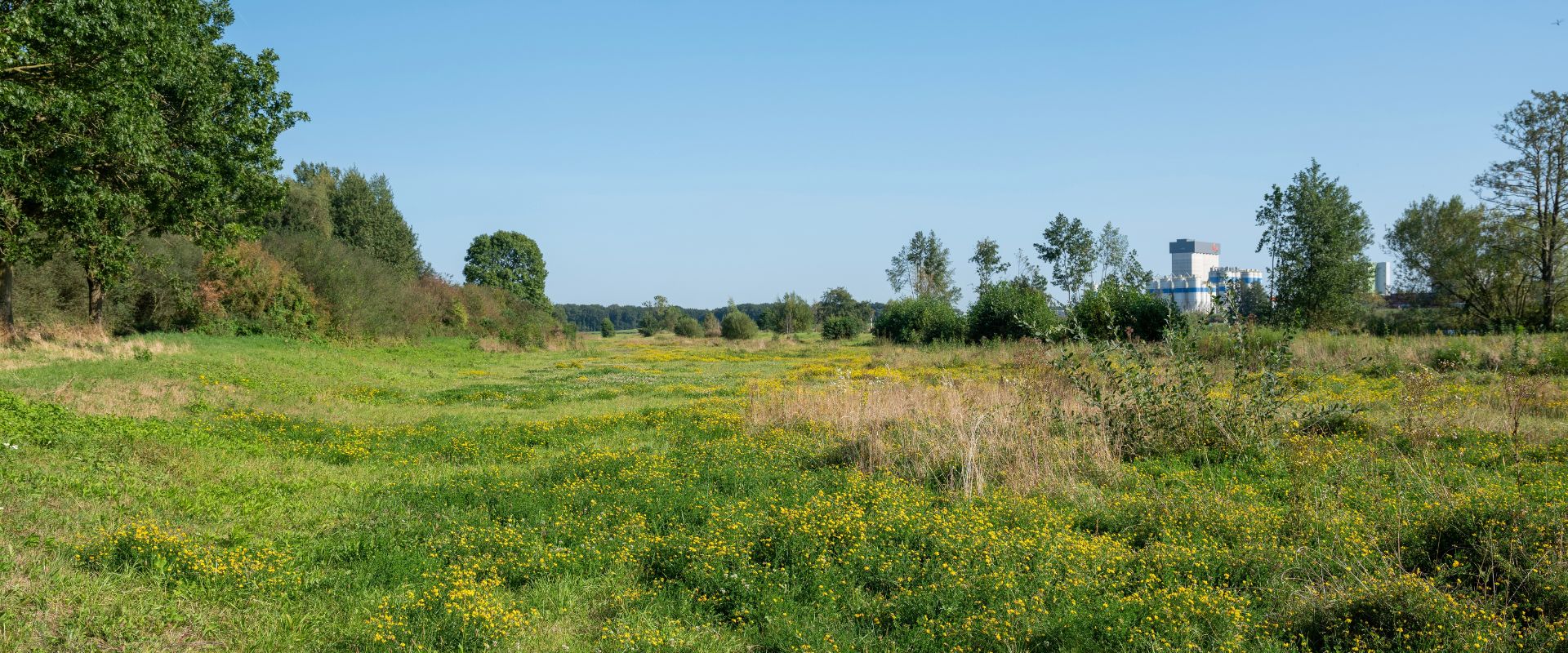Wanssum