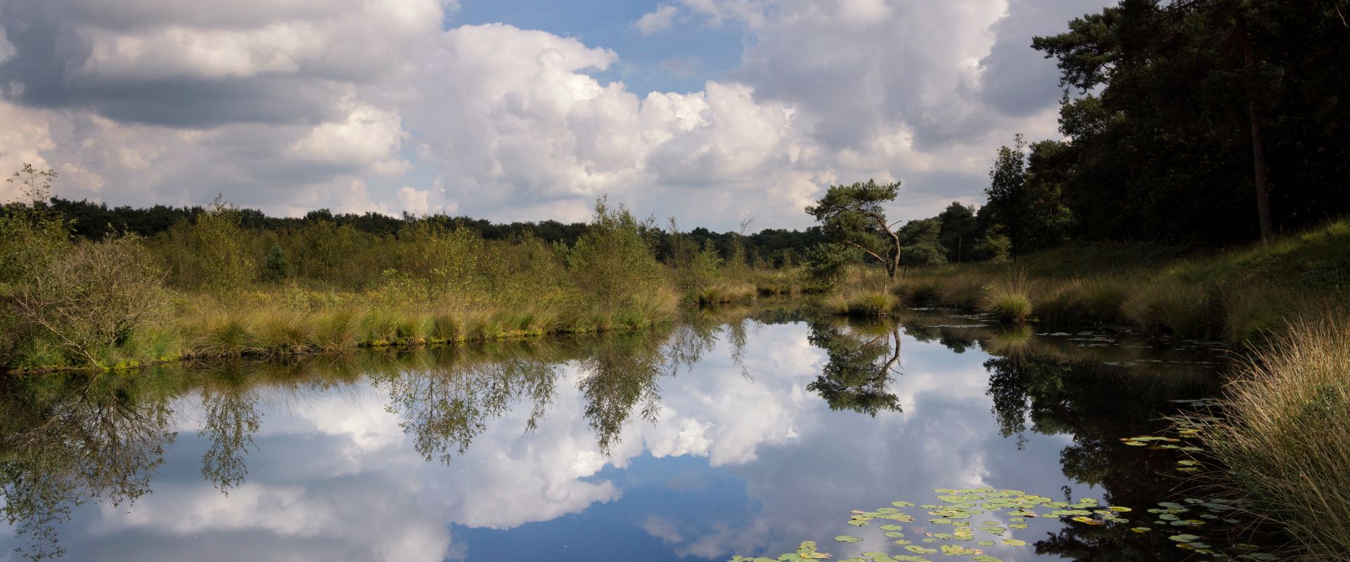 Alphen (Noord-Brabant)