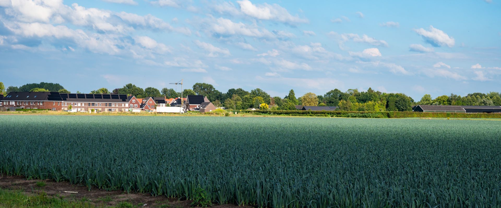 Baarschot