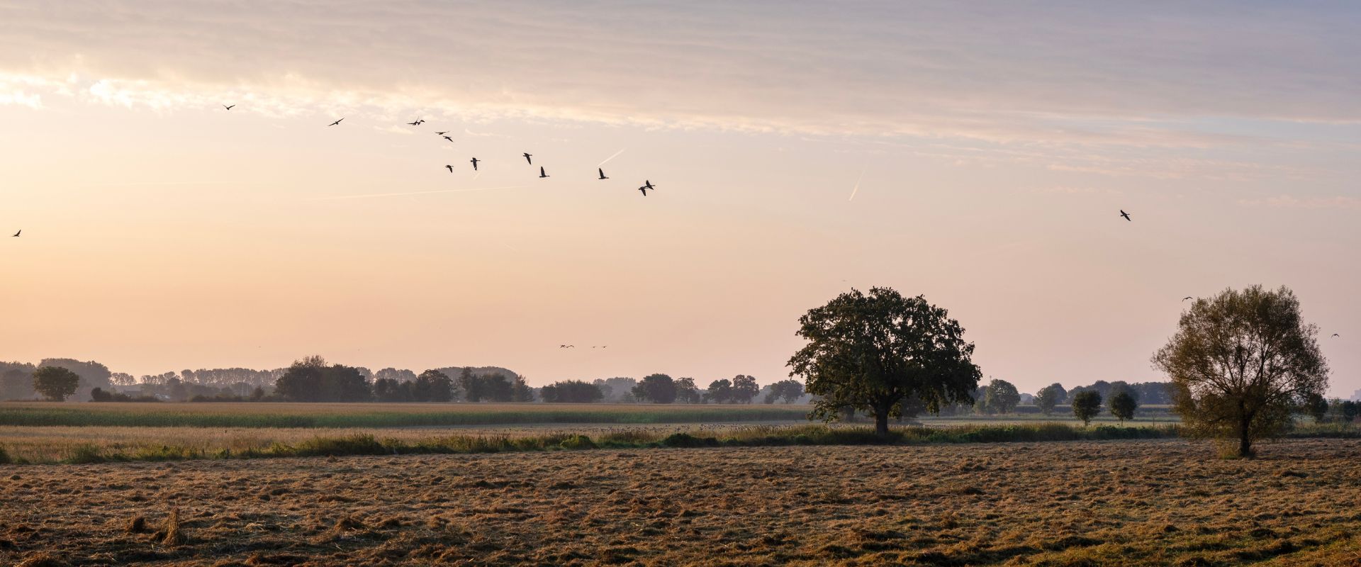 Boxmeer