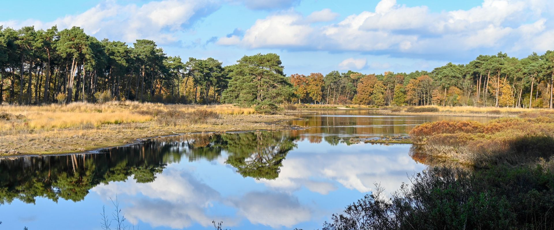 Den Hout